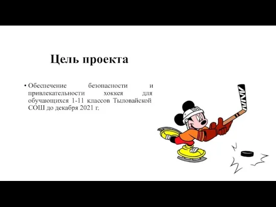 Цель проекта Обеспечение безопасности и привлекательности хоккея для обучающихся 1-11