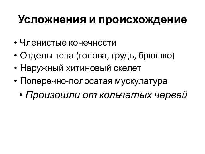 Усложнения и происхождение Членистые конечности Отделы тела (голова, грудь, брюшко)