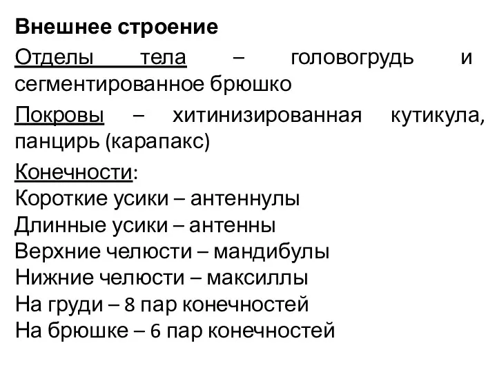 Внешнее строение Отделы тела – головогрудь и сегментированное брюшко Покровы