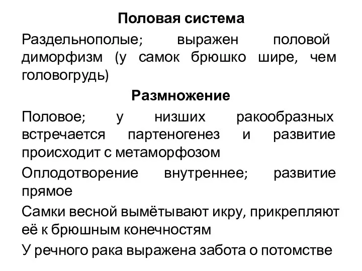 Половая система Раздельнополые; выражен половой диморфизм (у самок брюшко шире,