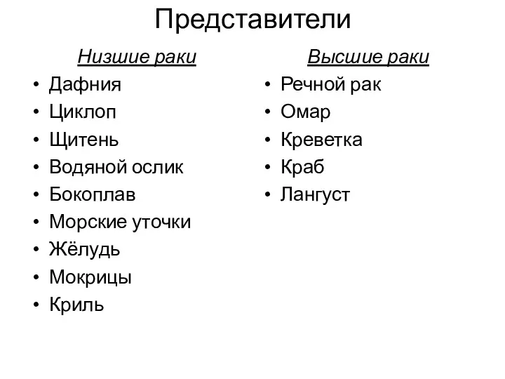 Представители Низшие раки Дафния Циклоп Щитень Водяной ослик Бокоплав Морские