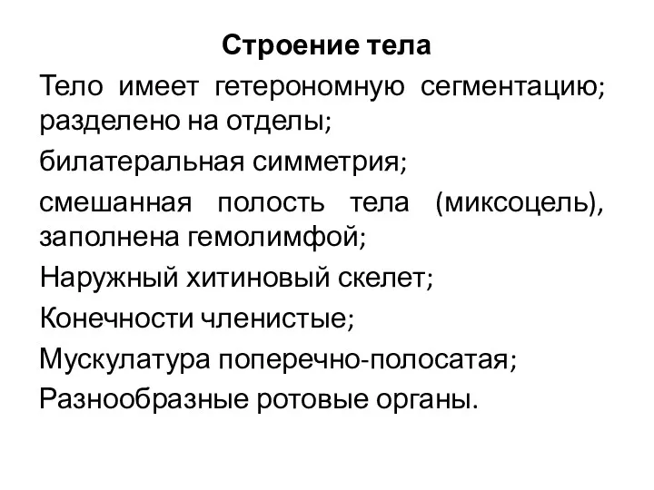 Строение тела Тело имеет гетерономную сегментацию; разделено на отделы; билатеральная