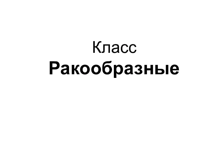 Класс Ракообразные