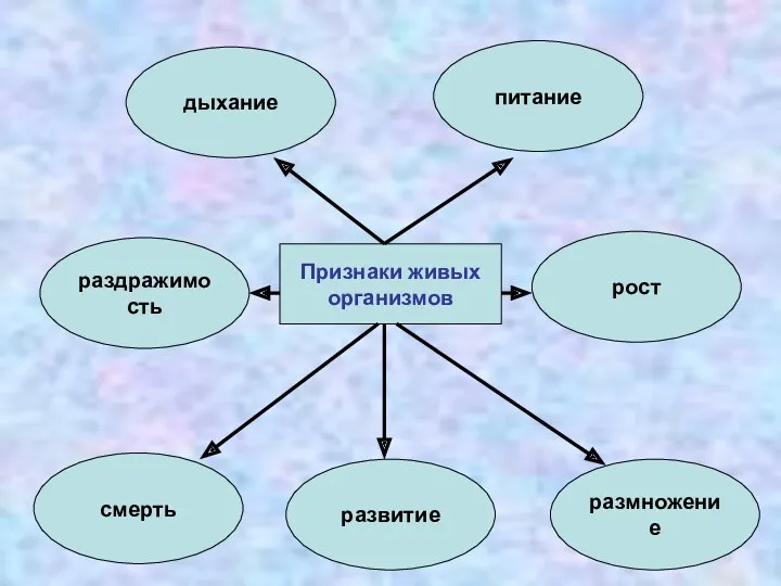 Признаки живых организмов дыхание раздражимость питание смерть размножение развитие рост