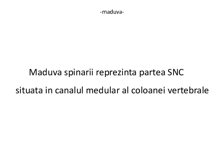 -maduva- Maduva spinarii reprezinta partea SNC situata in canalul medular al coloanei vertebrale