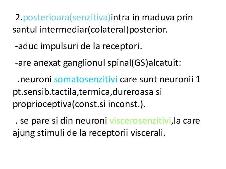 2.posterioara(senzitiva)intra in maduva prin santul intermediar(colateral)posterior. -aduc impulsuri de la