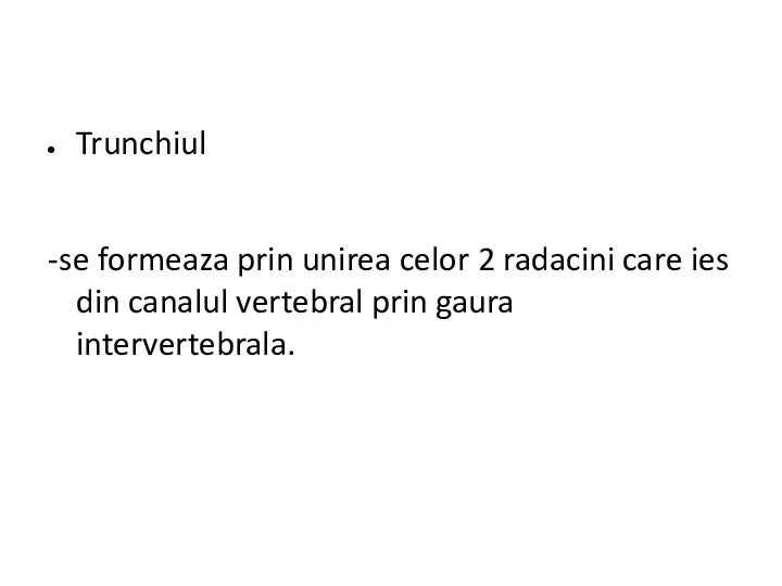 Trunchiul -se formeaza prin unirea celor 2 radacini care ies din canalul vertebral prin gaura intervertebrala.