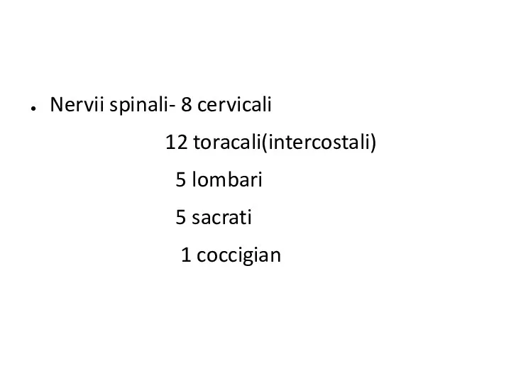 Nervii spinali- 8 cervicali 12 toracali(intercostali) 5 lombari 5 sacrati 1 coccigian