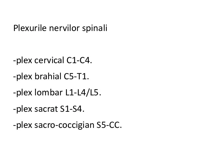 Plexurile nervilor spinali -plex cervical C1-C4. -plex brahial C5-T1. -plex