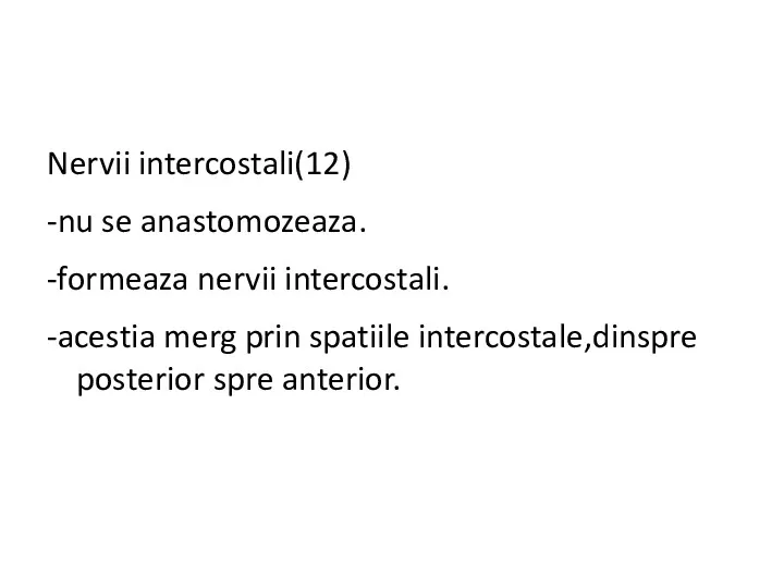 Nervii intercostali(12) -nu se anastomozeaza. -formeaza nervii intercostali. -acestia merg prin spatiile intercostale,dinspre posterior spre anterior.