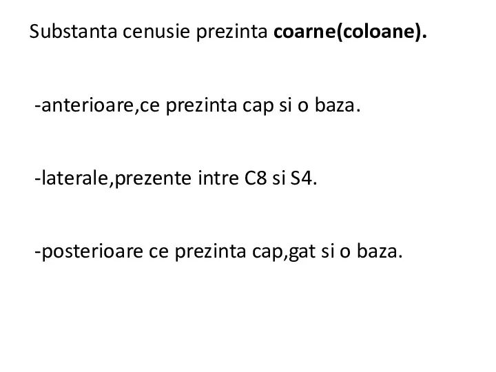 Substanta cenusie prezinta coarne(coloane). -anterioare,ce prezinta cap si o baza.