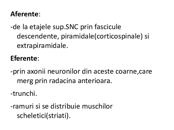 Aferente: -de la etajele sup.SNC prin fascicule descendente, piramidale(corticospinale) si