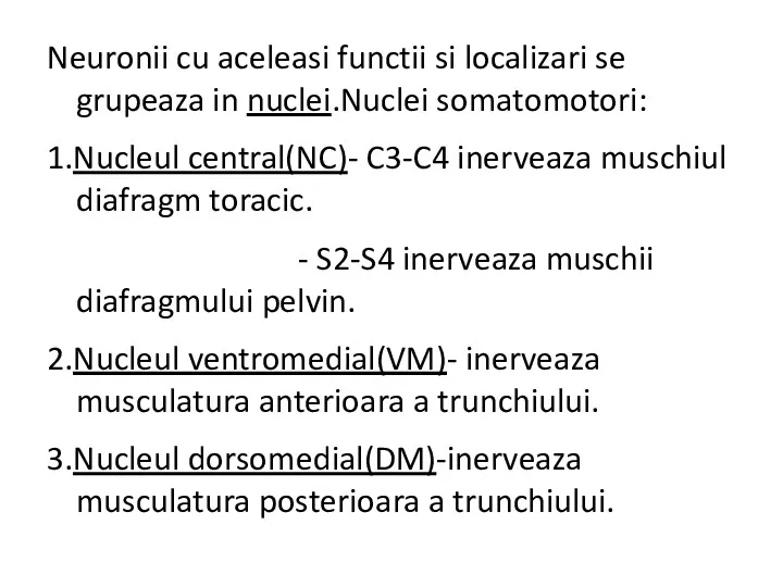 Neuronii cu aceleasi functii si localizari se grupeaza in nuclei.Nuclei