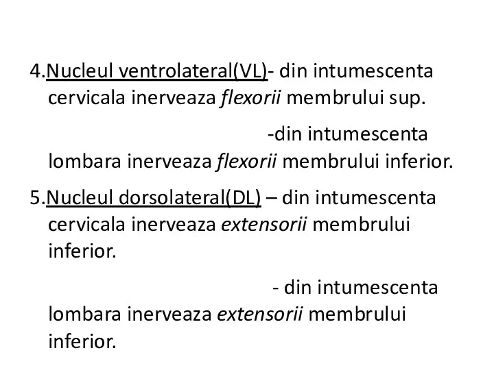 4.Nucleul ventrolateral(VL)- din intumescenta cervicala inerveaza flexorii membrului sup. -din