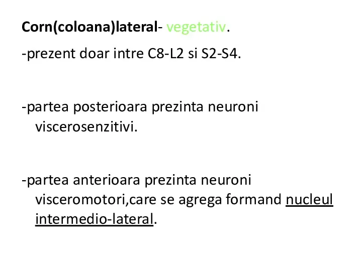 Corn(coloana)lateral- vegetativ. -prezent doar intre C8-L2 si S2-S4. -partea posterioara