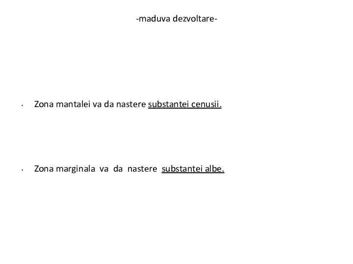 -maduva dezvoltare- Zona mantalei va da nastere substantei cenusii. Zona marginala va da nastere substantei albe.