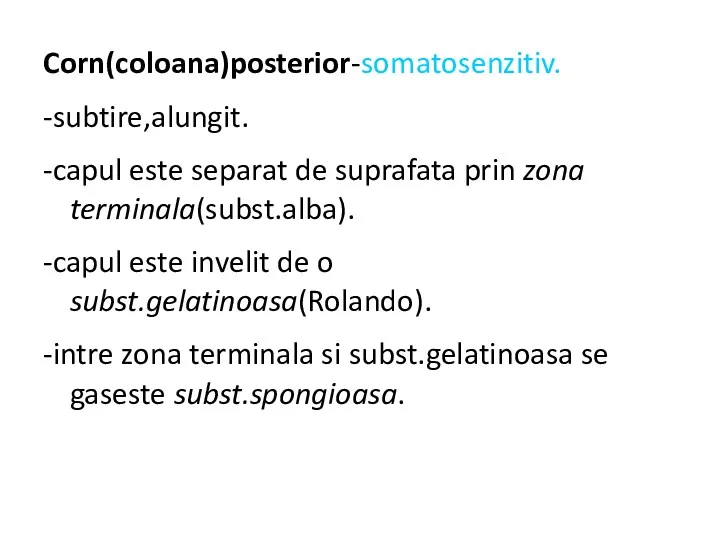 Corn(coloana)posterior-somatosenzitiv. -subtire,alungit. -capul este separat de suprafata prin zona terminala(subst.alba).