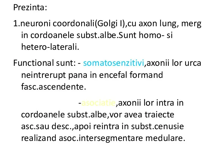 Prezinta: 1.neuroni coordonali(Golgi I),cu axon lung, merg in cordoanele subst.albe.Sunt