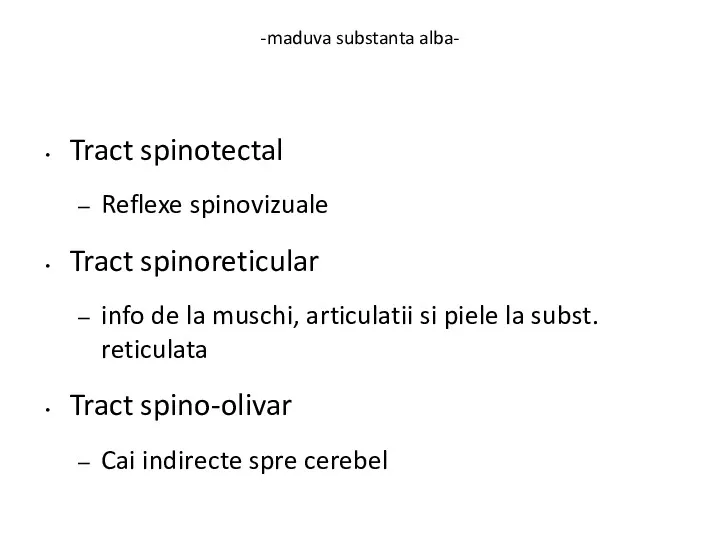 -maduva substanta alba- Tract spinotectal Reflexe spinovizuale Tract spinoreticular info