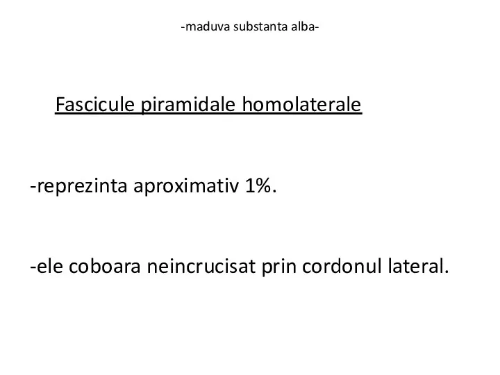 -maduva substanta alba- Fascicule piramidale homolaterale -reprezinta aproximativ 1%. -ele coboara neincrucisat prin cordonul lateral.