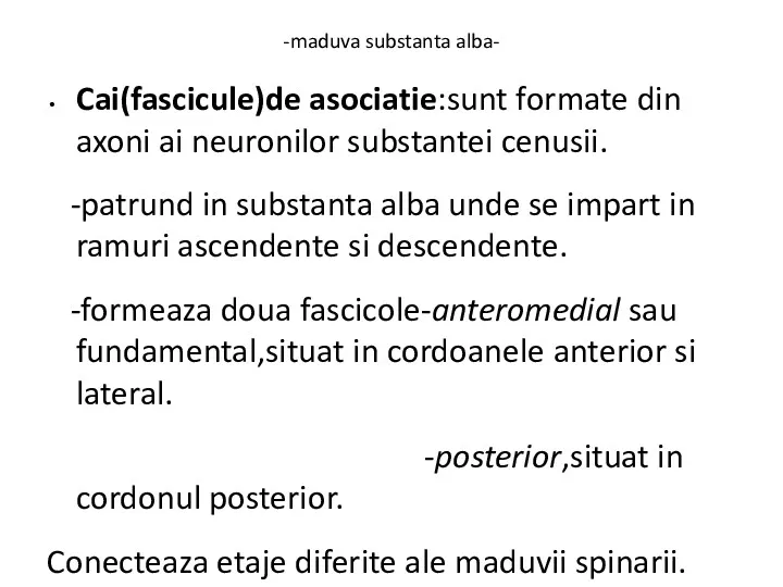 -maduva substanta alba- Cai(fascicule)de asociatie:sunt formate din axoni ai neuronilor