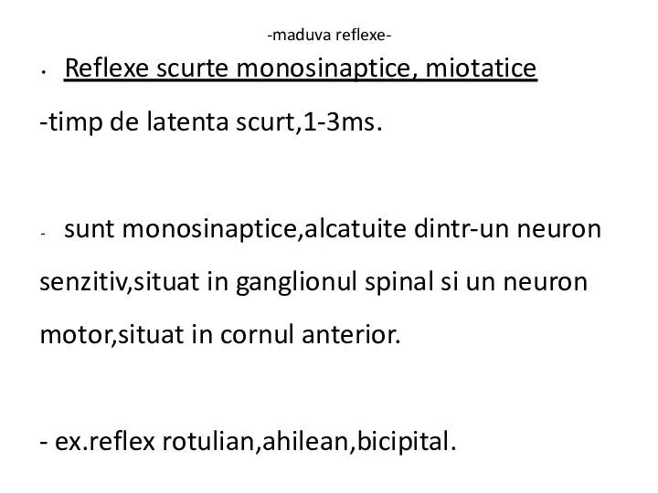 -maduva reflexe- Reflexe scurte monosinaptice, miotatice -timp de latenta scurt,1-3ms.