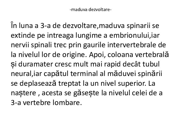 -maduva dezvoltare- În luna a 3-a de dezvoltare,maduva spinarii se