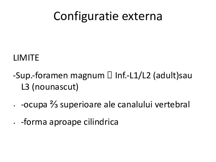 Configuratie externa LIMITE -Sup.-foramen magnum ? Inf.-L1/L2 (adult)sau L3 (nounascut)