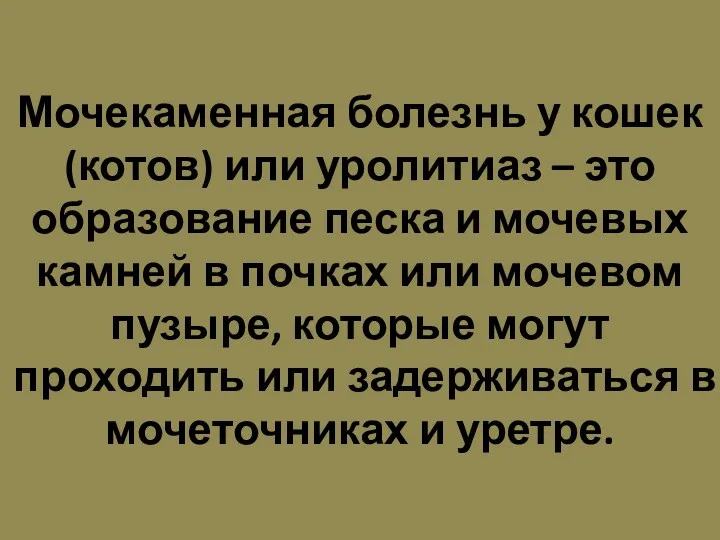 Мочекаменная болезнь у кошек (котов) или уролитиаз – это образование