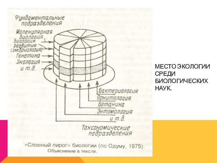 МЕСТО ЭКОЛОГИИ СРЕДИ БИОЛОГИЧЕСКИХ НАУК.