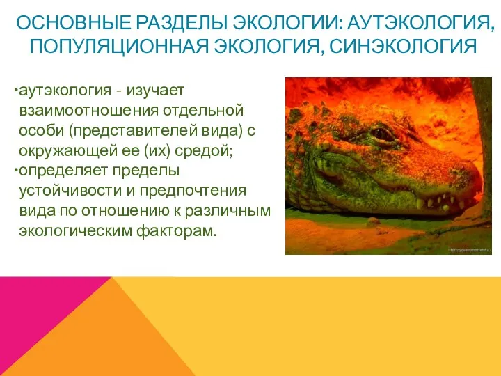 ОСНОВНЫЕ РАЗДЕЛЫ ЭКОЛОГИИ: АУТЭКОЛОГИЯ, ПОПУЛЯЦИОННАЯ ЭКОЛОГИЯ, СИНЭКОЛОГИЯ аутэкология - изучает