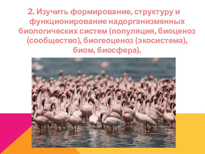 2. Изучить формирование, структуру и функционирование надорганизменных биологических систем (популяция, биоценоз (сообщество), биогеоценоз (экосистема), биом, биосфера).