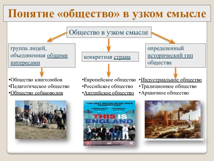 Понятие «общество» в узком смысле Общество в узком смысле группа