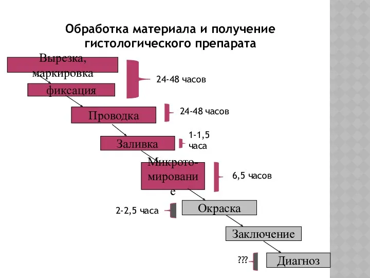 Вырезка, маркировка фиксация Проводка Заливка Микрото- мирование Окраска Заключение Диагноз