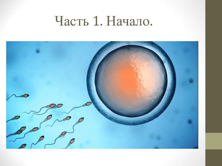 Часть 1. Начало.