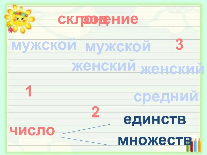 женский средний мужской род склонение 1 мужской женский число 2 3 единств множеств