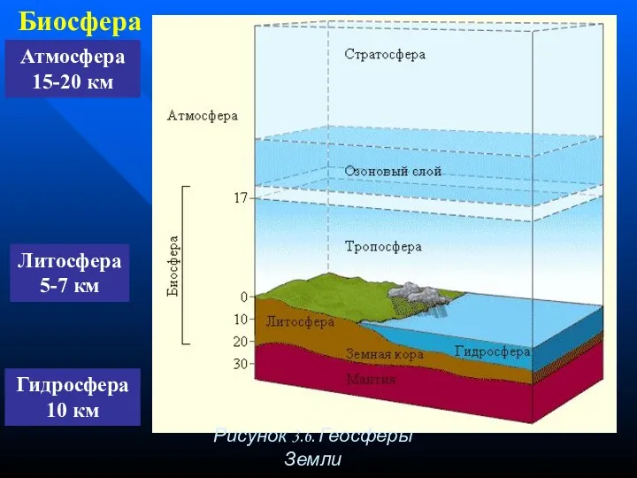 Биосфера Атмосфера 15-20 км Литосфера 5-7 км Гидросфера 10 км Рисунок 3.6. Геосферы Земли