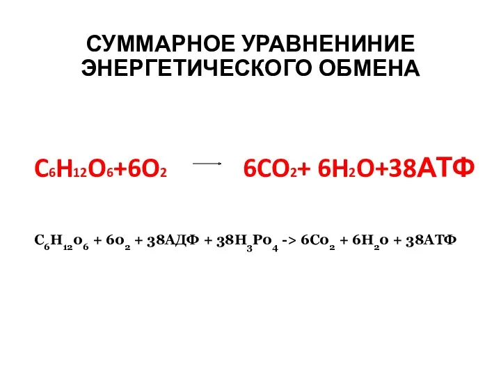 СУММАРНОЕ УРАВНЕНИНИЕ ЭНЕРГЕТИЧЕСКОГО ОБМЕНА C6H12O6+6O2 6CO2+ 6H2O+38АТФ С6Н1206 + 602