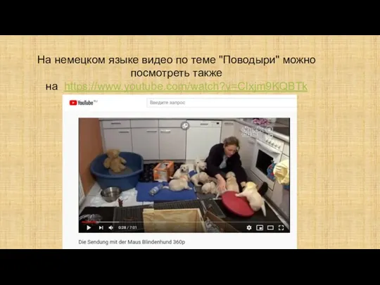 На немецком языке видео по теме "Поводыри" можно посмотреть также на https://www.youtube.com/watch?v=CIxjm9KQBTk