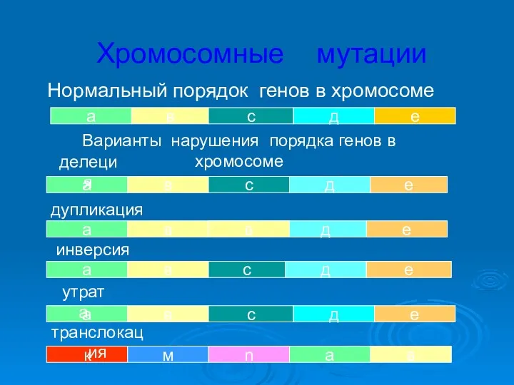 Хромосомные мутации Нормальный порядок генов в хромосоме а в с