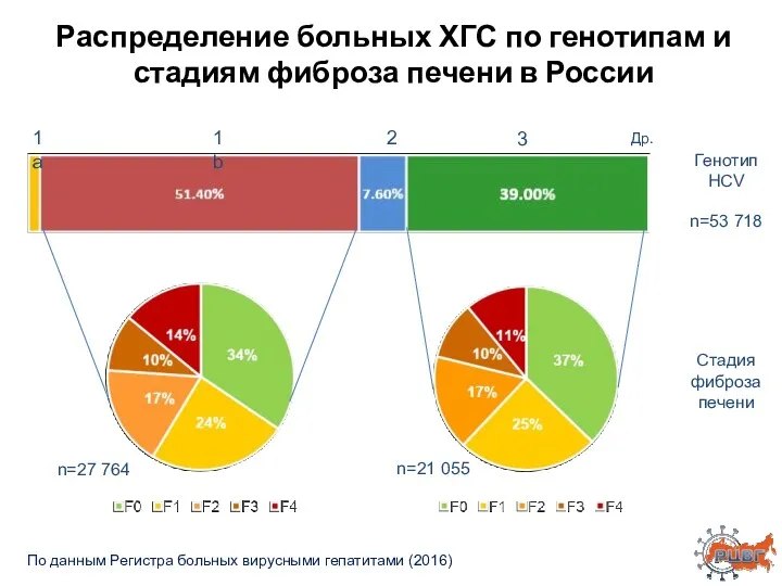 Распределение больных ХГС по генотипам и стадиям фиброза печени в