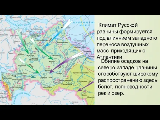 Климат Русской равнины формируется под влиянием западного переноса воздушных масс
