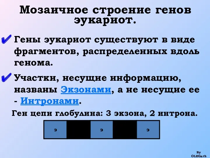 Мозаичное строение генов эукариот. Гены эукариот существуют в виде фрагментов,