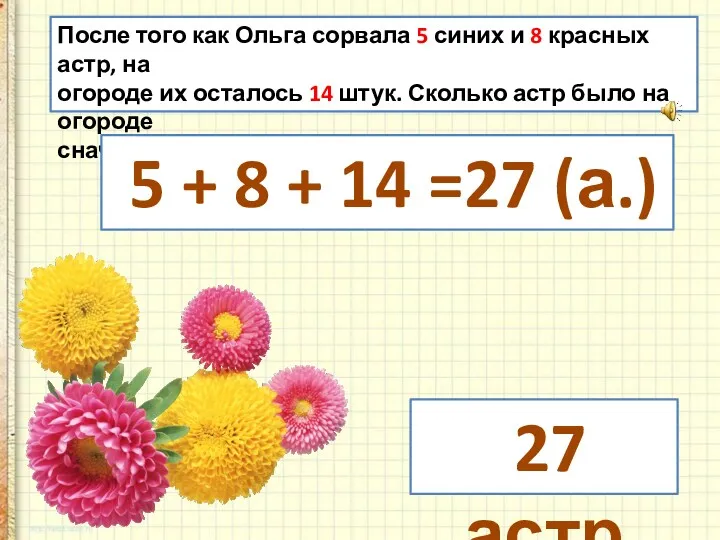 После того как Ольга сорвала 5 синих и 8 красных астр, на огороде