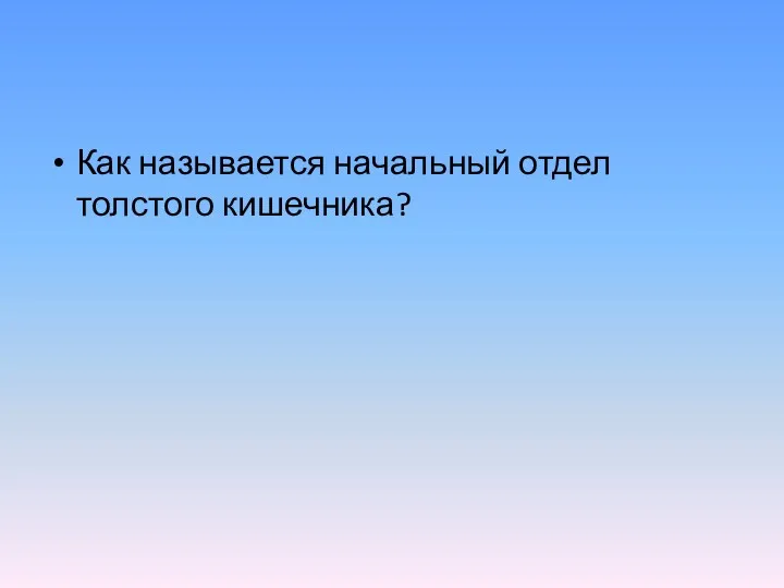 Как называется начальный отдел толстого кишечника?