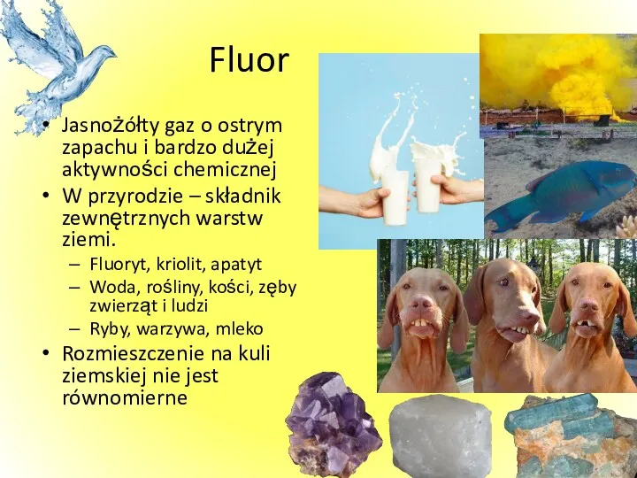 Fluor Jasnożółty gaz o ostrym zapachu i bardzo dużej aktywności chemicznej W przyrodzie