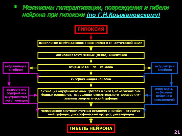 * Механизмы гиперактивации, повреждения и гибели нейрона при гипоксии (по Г.Н.Крыжановскому) ГИПОКСИЯ накопление