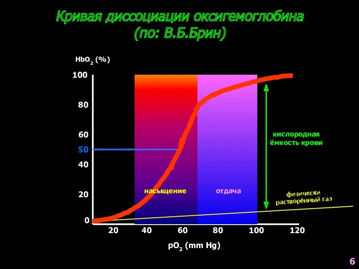 Кривая диссоциации оксигемоглобина (по: В.Б.Брин) 0 20 40 60 80 100 HbO2 (%)