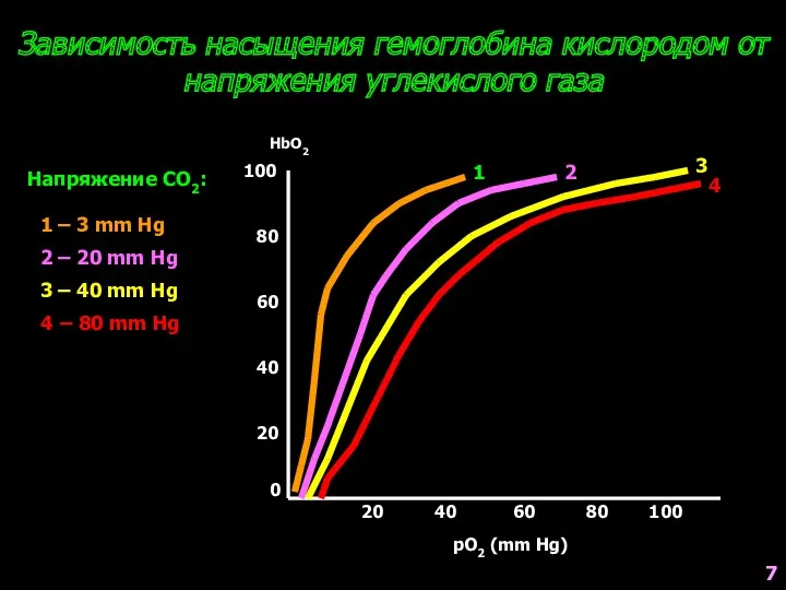 Зависимость насыщения гемоглобина кислородом от напряжения углекислого газа Напряжение CO2: 0 20 40