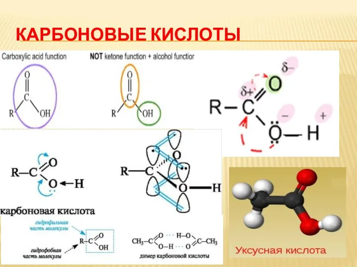 КАРБОНОВЫЕ КИСЛОТЫ